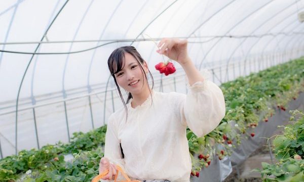 Rin Miyazaki